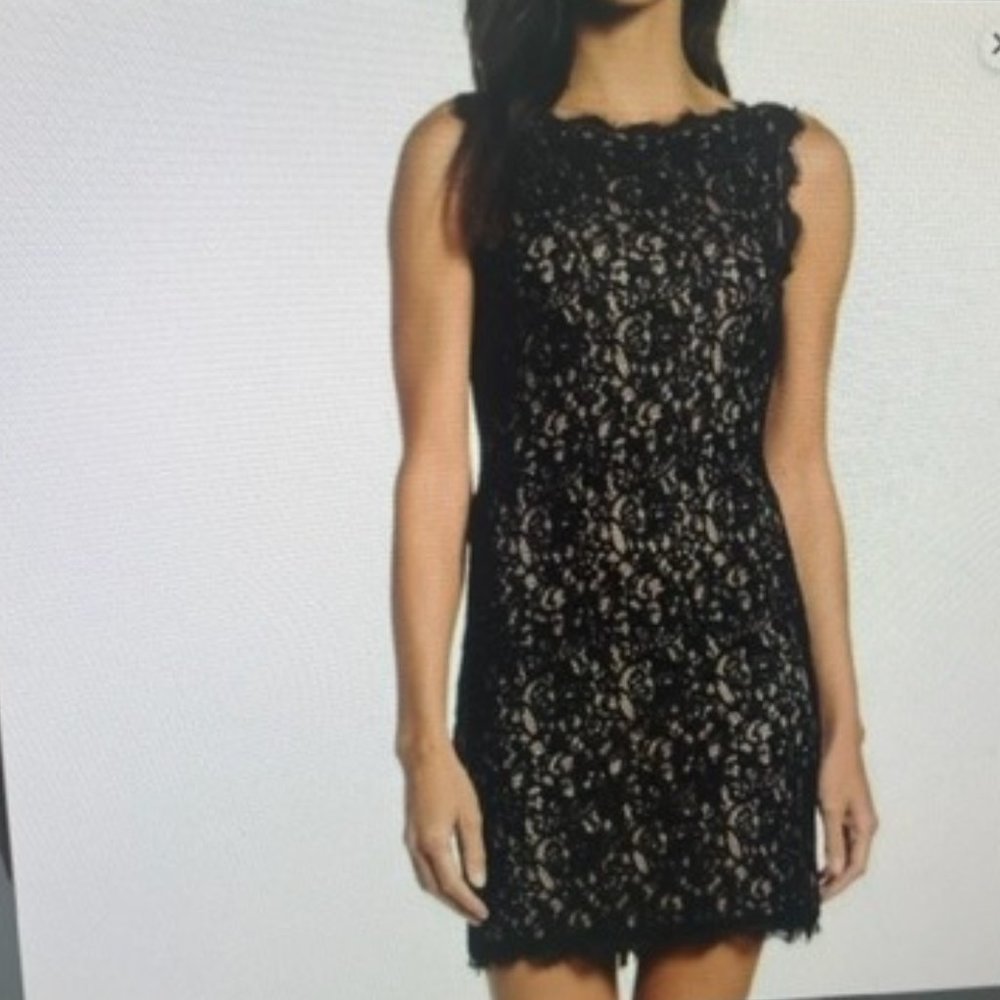 NWT Brand new! Adrianna Papell Lace Above the Knee Boat Neck Dress